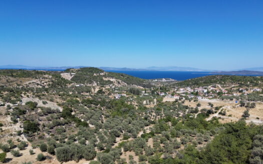 Mordoğan Satılık Zeytin ağaçlı Arazi/Resmi Kadastral yolu var